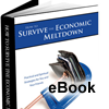 How to Survive the Economic Meltdown